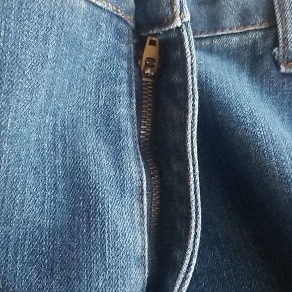 PLUS Size Designer Jeans by BILL BASS - Picture 6 of 15